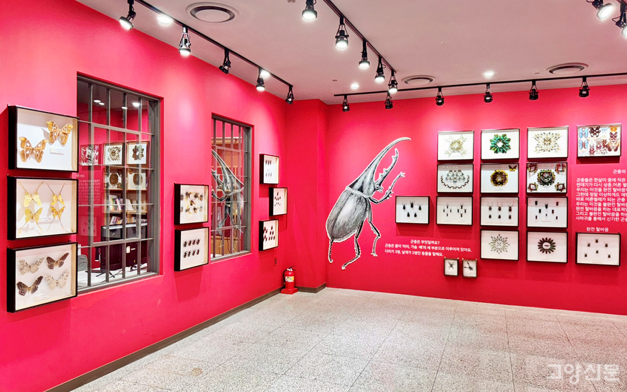 킨텍스 '옐로우지브라 곤충박물관' [사진제공 = 킨텍스]