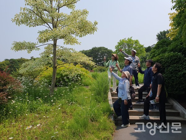 김보연 조합장이 무늬층층나무를 가리키며 "일본 야생에서 오래 전 발견된 '무늬층층나무'의 희귀한 모습을 수목원에서 볼 수 있어 반갑다"고 말했다.