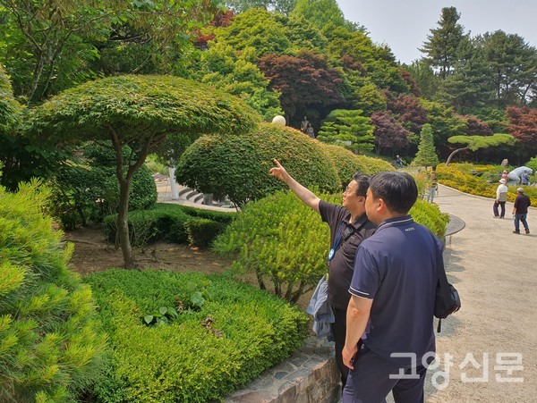 이영철 상임이사는 "전정을 잘한 단풍나무가 한 그루의 작품 같다"라며 전정이 잘된 수목원 나무들을 보며 감탄했다.