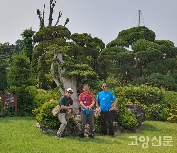 세종시 '베어트리파크 수목원'에서 회원들이 작품처럼 잘 가꾼 향나무 앞에서 기념사진을 찍었다.