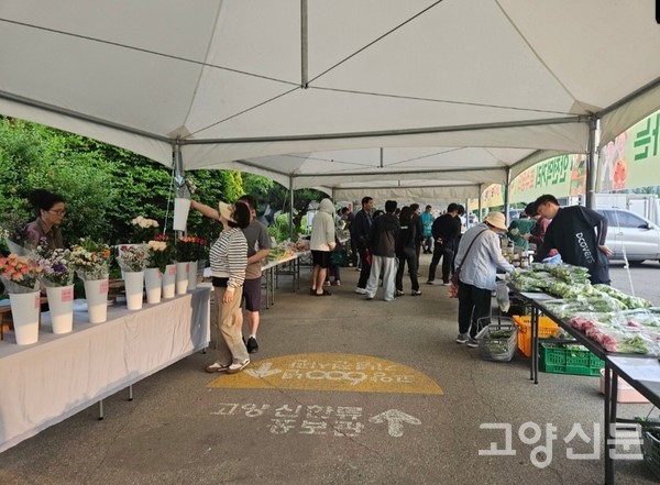 연간 3000여 명이 호수장터를 찾고 있다.