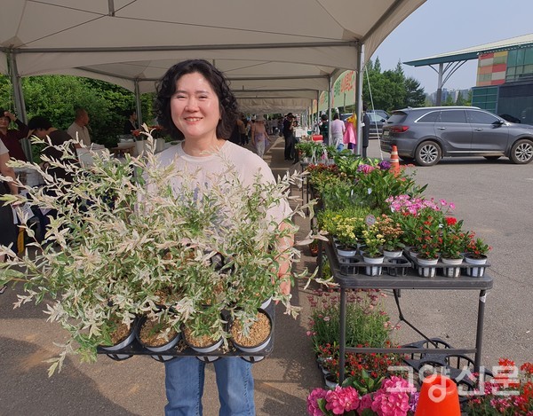 삼색버들(셀릭스)과 초화류