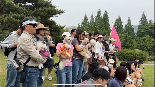 반려동물과 사람의 공존을 추구하는 펫빌리지에 참여한 시민들.