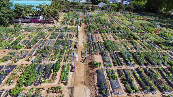 농장 전경. 가지런한 텃밭에는 제철 채소들이 자라고 있다.