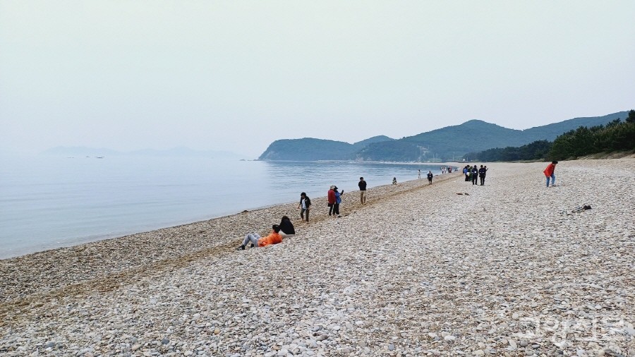 파도가 만든 작고 동글동글한 돌들이 가득 깔린 콩돌해안.