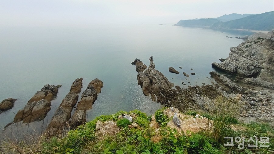 신비로운 경관을 연출하고 있는 용틀임바위와 남포리 습곡절벽. 