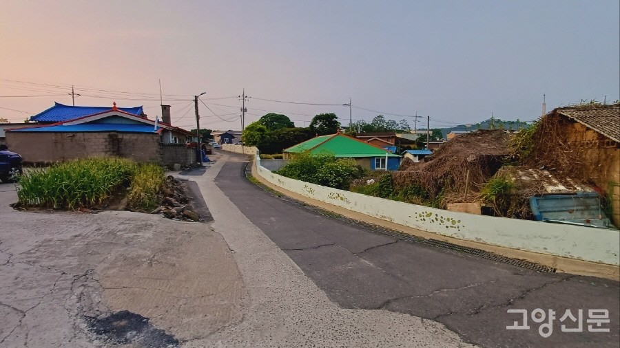 셋째 날 아침, 숙소 근처 진촌리 마을 풍경. 