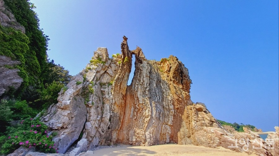 10억년 지구의 역사가 켜켜이 무늬를 이룬 농여해변 나이테바위. 
