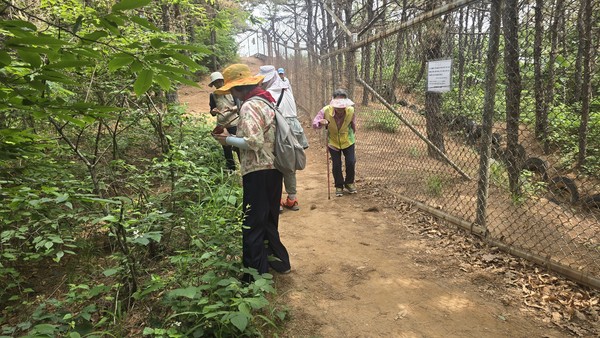 고양시민들이 군부대 철조망 옆으로 난 황룡산 탐방로에서 마을숲 생태탐사를 하고 있다.