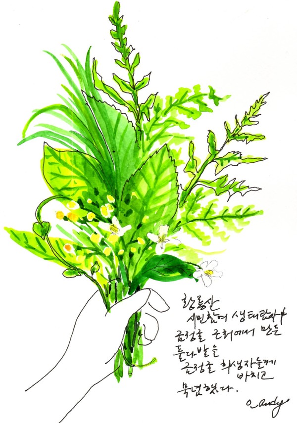 하산길에 금정굴 앞에서 잠시 멈춰서 들꽃으로 만든 작은 화환을 바치고 묵념했다. 그림에서 보이는 흰색 꽃이 으아리 꽃이다.