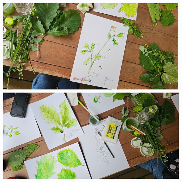 생태 관찰 스케치. 위쪽은 애기똥풀 아래는 각종 활엽수 잎을 그린 것이다.