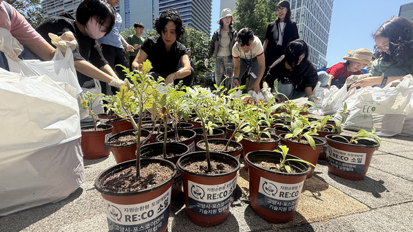 RE:CO 소일(친환경토양)을 활용한 상추화분과 꽃화분