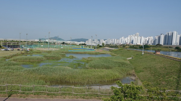 인천시 공촌천 하구 배후습지 복원지. [사진제공=에코코리아]