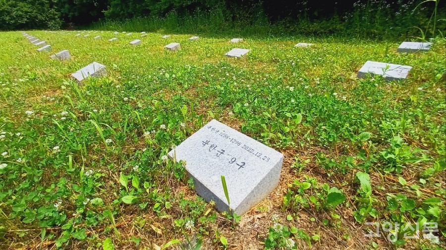 북녘땅을 바라보며 줄지어 누운 작은 묘석들.