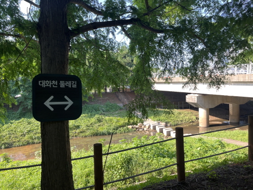 대화천 산책로 풍경 [사진=김수지]