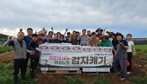 고봉동 주민자치회가 주민자치회 텃밭에서 ‘사랑의 감자 나눔’ 행사를 열고 감자 캐기 작업을 진행했다.