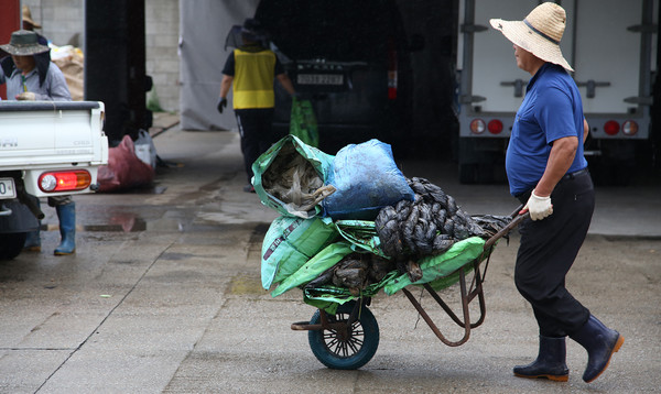 가까운 조합원들은 인력거로 수거현장에 나왔다.