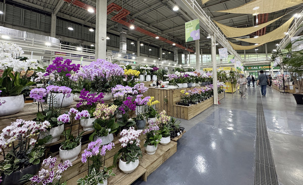 한국화훼농협 케이플라원마트 대화점. 한국화훼농협 본점은 2층에 위치한다.