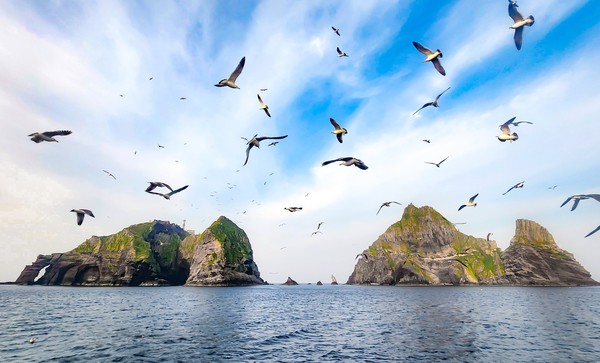 괭이갈매기들이 범선 코리아나호를 따라 독도를 돌고 있다. ​​‘2025 범선 타고 독도 가자’ 탐사대원들이 동도 부두에 도착한 뒤 서도를 배경으로 기념 사진을 찍고 있다. 