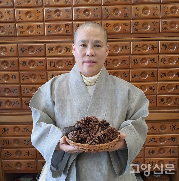 솔방울도 오랜 시간과 정성으로 법제를 통해 한방 약차가 된다.