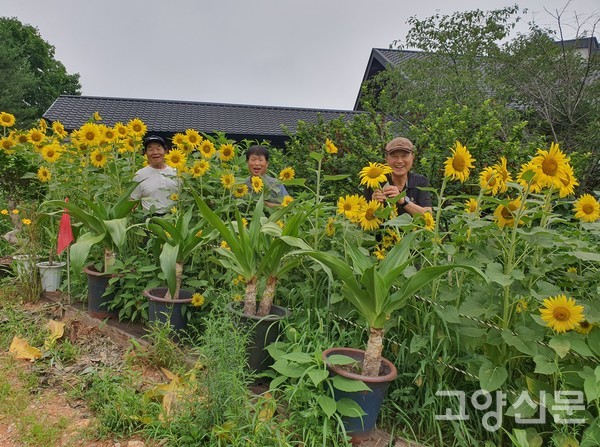 (왼쪽부터)한한종 위원장, 김종만 행복농장 대표, 안효승 가나안덕 부사장이 활짝 핀 해바라기와 함께 기념사진을 찍었다.