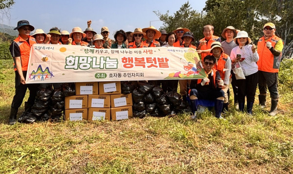  효자동 주민자치회가 ‘희망나눔 행복텃밭 감자 수확’ 활동을 했다.