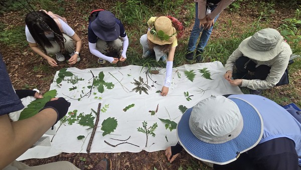 마을숲 탐방객들이 각자의 손수건 위에 나무를 만들고 있다.