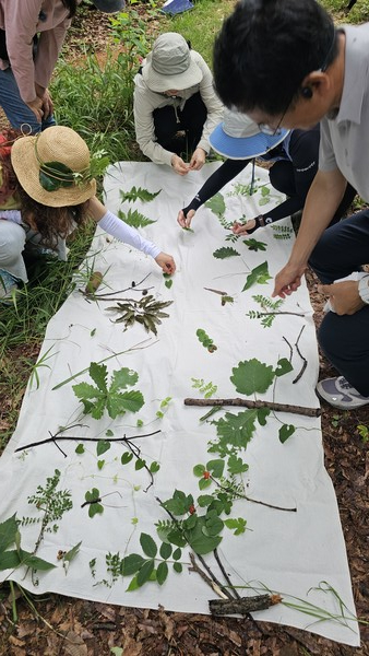 각자 손수건에 나무를 만들었다. 나무가 모여 숲이 되었다.