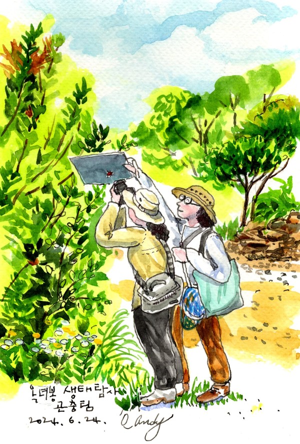 전문가 사전 답사할 때 곤충팀이 사진을 찍는 모습을 그렸다. 