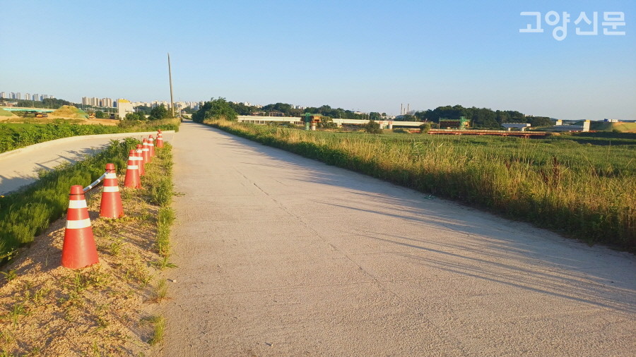 공릉천 하구 둑마루 포장이 완료된 구간. 6m나 되는 넓은 콘크리트 포장도로가 생물들의 이동을 단절시킨다는 우려를 낳고 있다. 