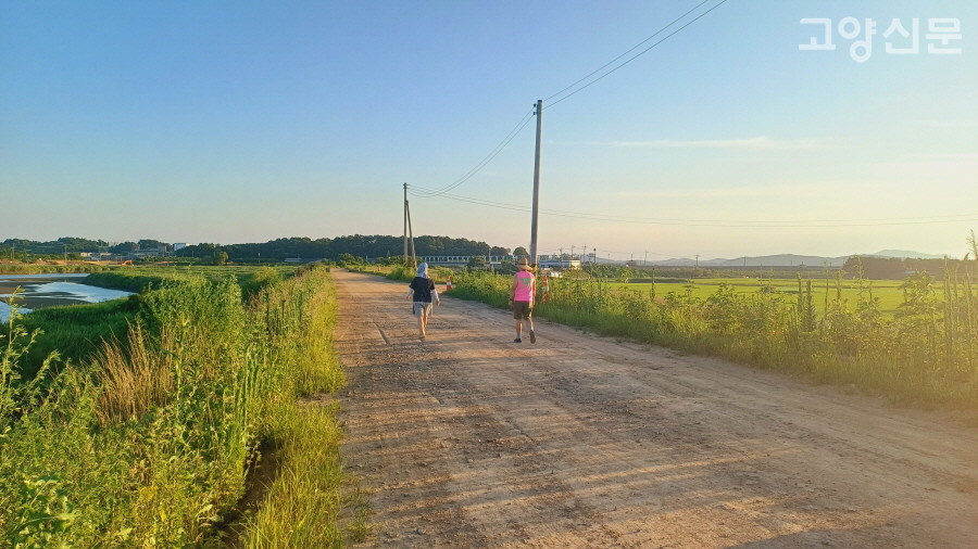 아직 포장공사가 진행되지 않은 공릉천 하구 둑마루 구간. 포장되지 않은 흙길이 하천과 인근 농경지의 생태적 연결성을 높여준다는 게 전문가들의 설명이다. 