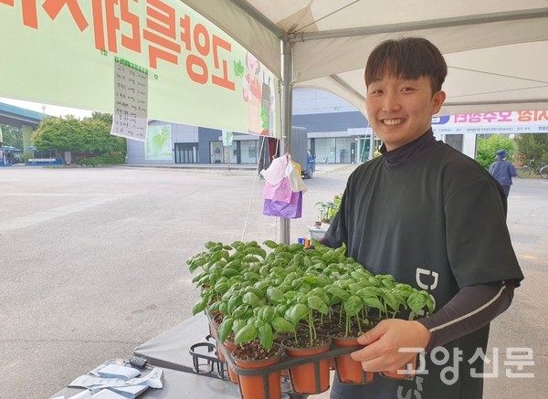 직장 다니는 아들(천호진)은 주말에 새벽시장호수장터에서 듬직하게 일손을 돕고 있다. 바질은 고객들이 직접 키우도록 분화로 판매한다.