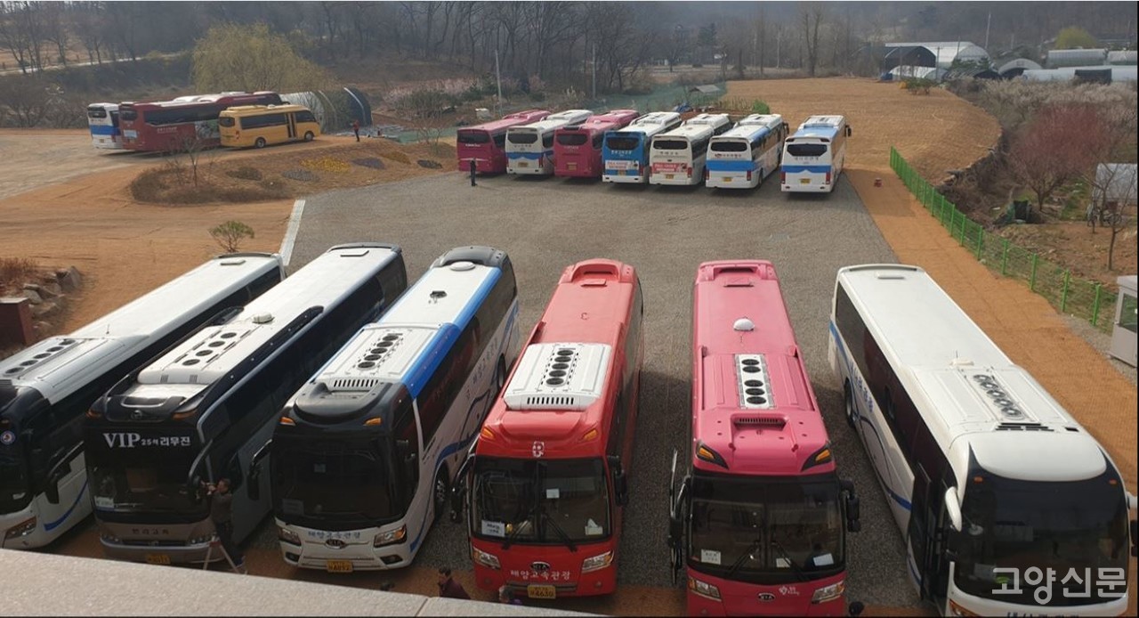 해당업체를 방문하는 대형버스가 모여 있는 주차장. 이곳은 ‘주말농장용 주차장’으로 허가를 받았는데, ‘관광버스 주차장’으로 활용되고 있어 논란이 되고 있다. [사진제공 = 독자]