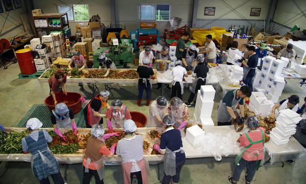 일사분란한 움직임으로 열무김치를 담그는 신도농협 관계자와 봉사자들.