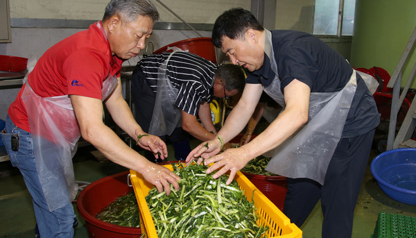 신도농협 이사들이 동참해 정성을 다해 열무를 씻고 있다.