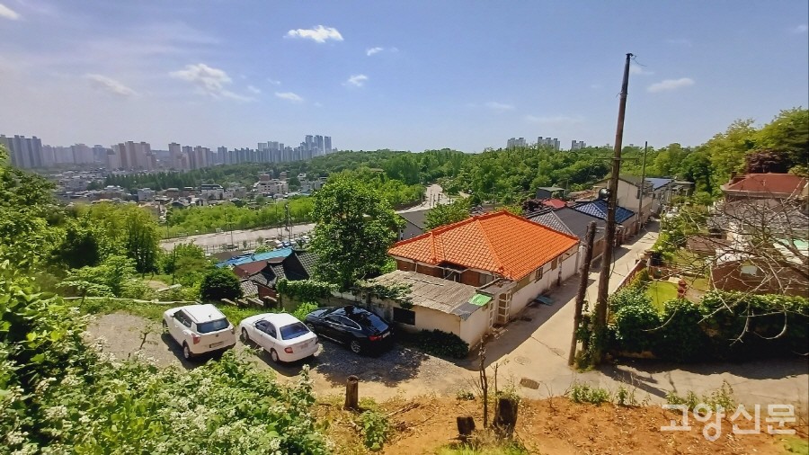 오송산 언덕 위에서 내려다 본 삼송주택 모습. 마을 아래 큰 길이 통일로이고, 그 너머로 삼송 구도심과 아파트단지 풍경이 중첩된다. 