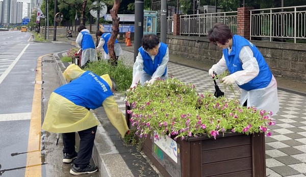 삼송1동 청소년지도협의회 위원들이 화단을 정리하고 있다.
