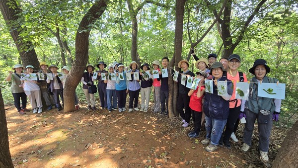 마을숲 탐사 참가자들이 영주산에서 풀과 나뭇잎을 이용해 만든 작품을 전시하며 즐거운 시간을 보내고 있다.