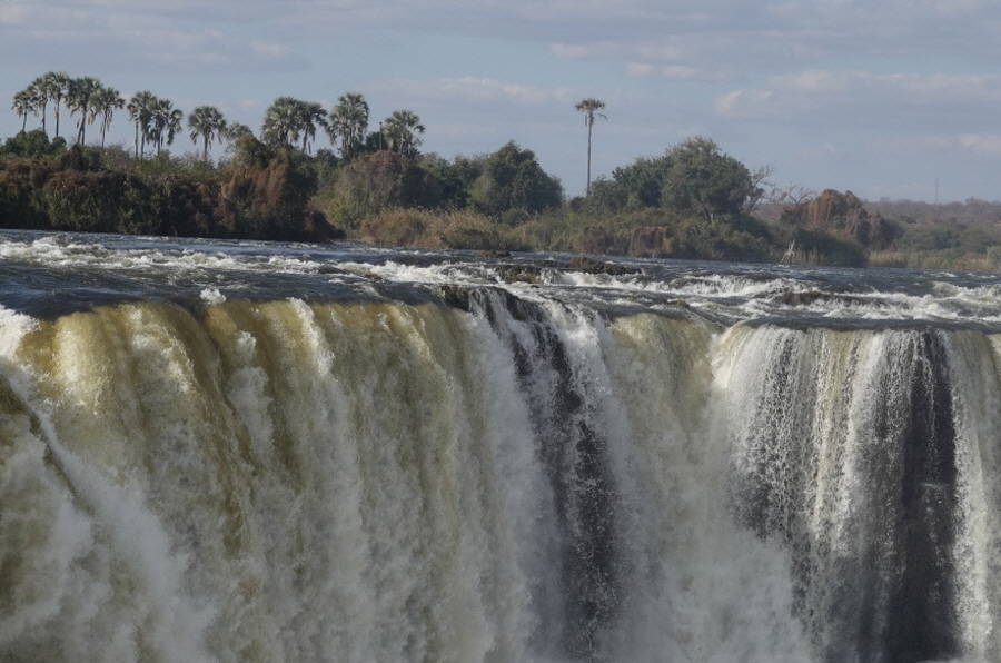[사진제공=에코코리아]