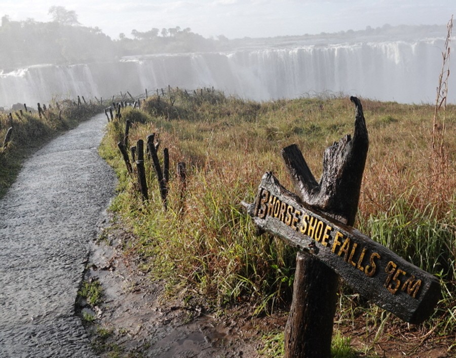[사진제공=에코코리아]
