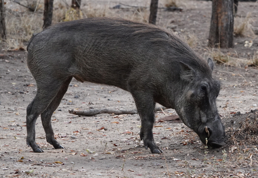 [사진제공=에코코리아]