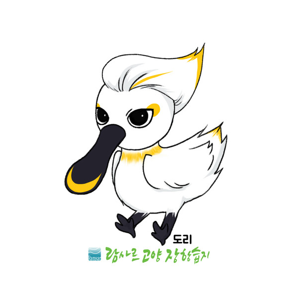                                                                  도리(노랑부리저어새)