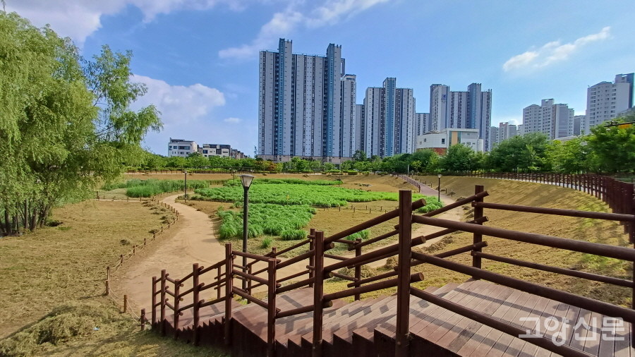 도래울 마을의 빗물을 잠시 가둬두는 '도래울 의장대공원 저류지'