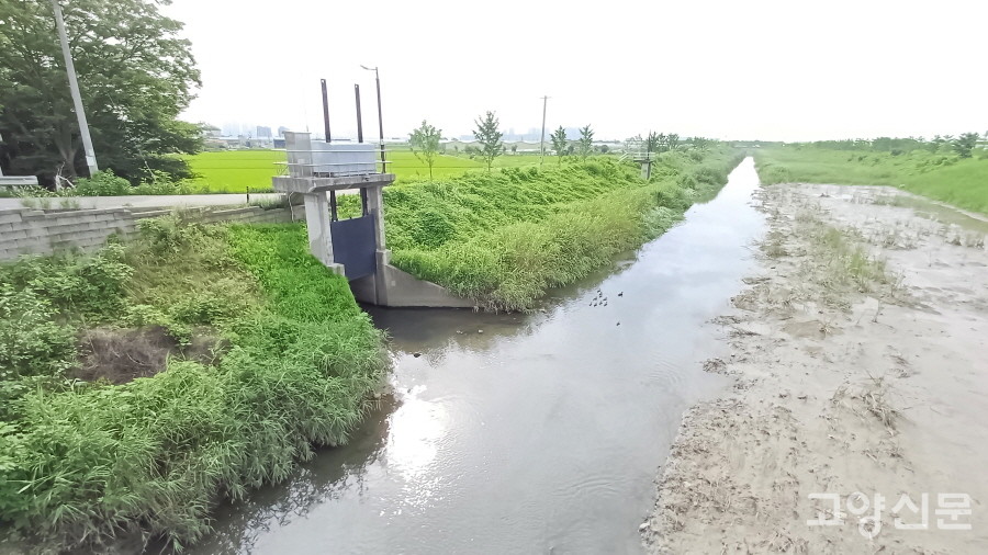 농경지 수로와 연결된 장월평천 배수문. 
