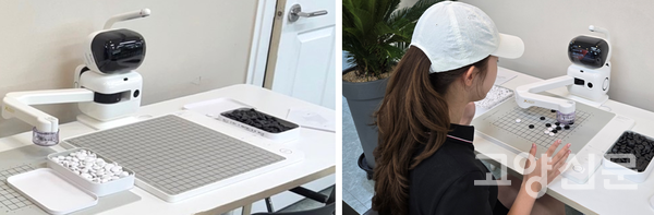 '바둑 초보도 환영', 이곳 AI 바둑 로봇은 스스로 수를 놓으며 친절하게 훈수까지 건넨다.