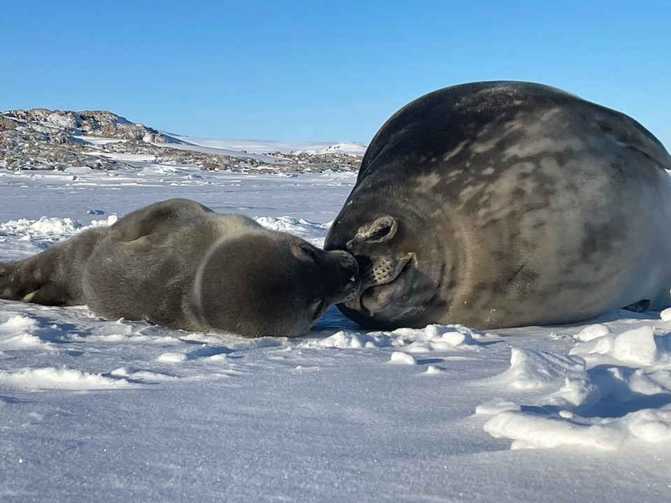 [사진제공=김성한]