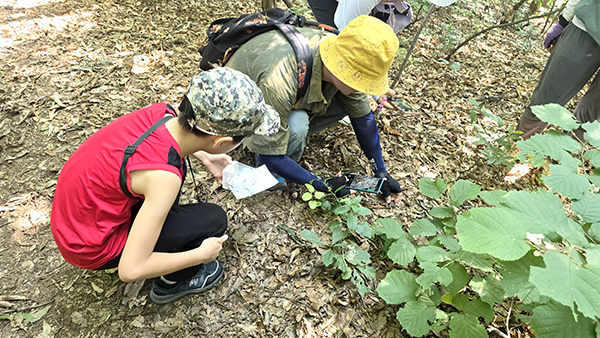 탐방로에서 식물을 관찰하고 있다.