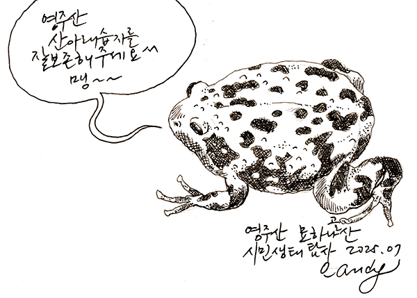 영주산 습지에 서식하는 맹꽁이를 펜그림으로 그렸다. 옛날 유럽의 동물 도감에 이런 펜그림이 많다.