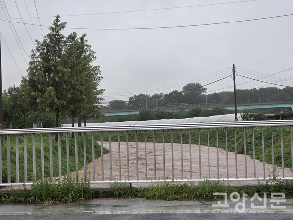 극한호우로 수위가 높아진 대장천. 금세 다리 위로 물이 넘쳐날 기세다. [사진=이병우 기자]