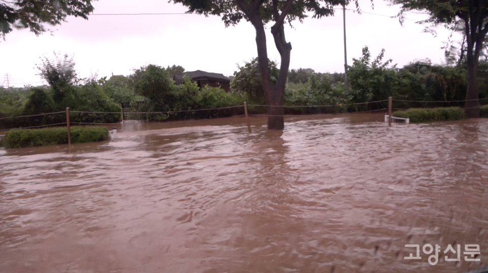 빗물이 차도 경계석 위로 차올라 인도까지 침수된 도로.